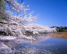 你要什么 产品图片