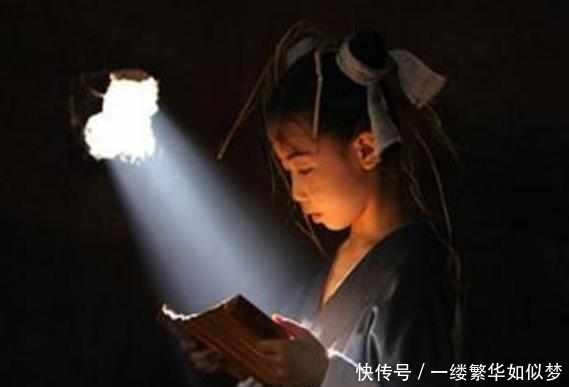 人猿泰山之重返家园（国语版）