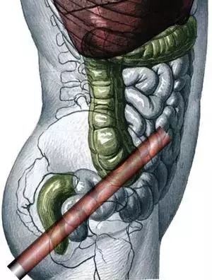 兄弟姐妹四十 相关产品