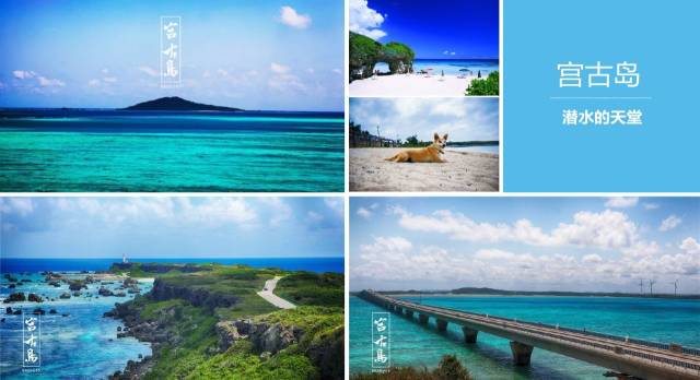 冰肤传说 相关产品