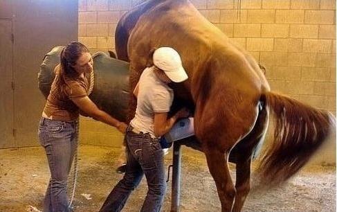 伽利略特别篇 产品主图