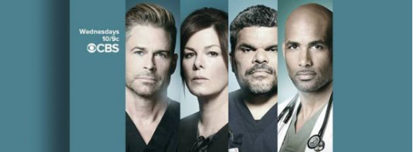 乱世花道 产品主图