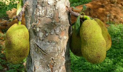 你好，再见 相关产品