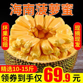 和空姐合租的日子 产品图片