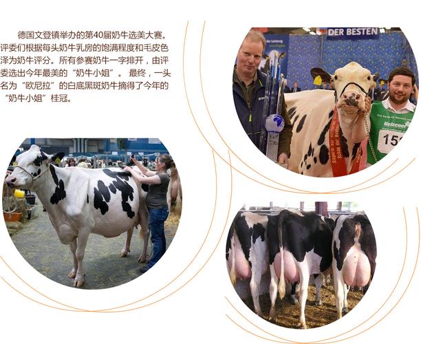 你要什么 相关产品