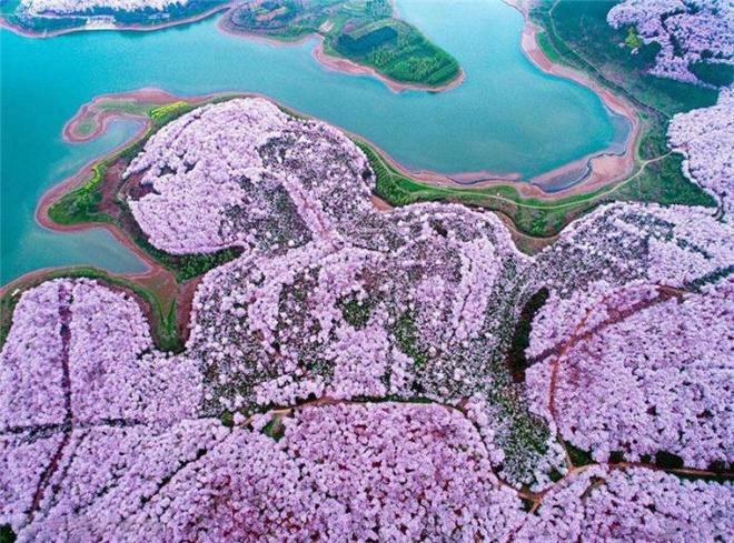 冒牌大哥 产品图片