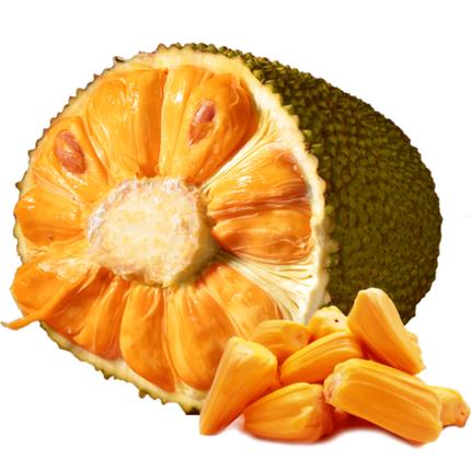 凤凰城等着你 相关产品