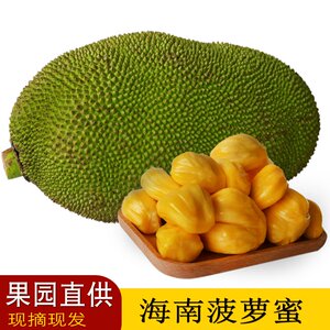 僵尸高校3 相关产品