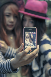 传染病（粤语版） 相关产品