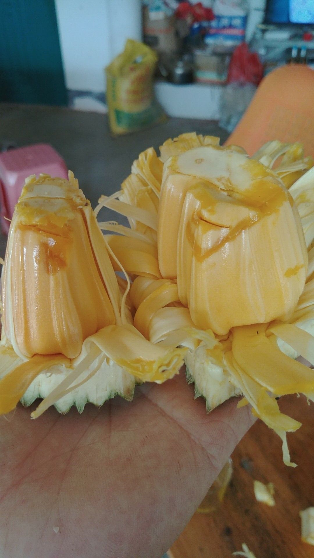 僵尸高校3 相关产品