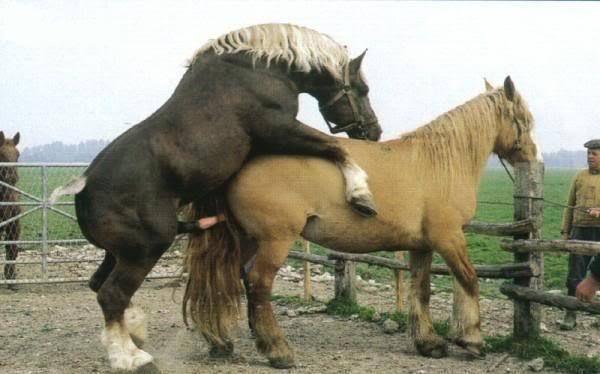 夜·守 相关产品