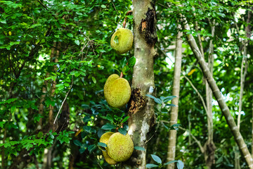 凶案清理员 产品图片