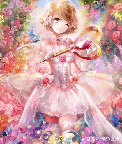 冰上轻驰 相关产品