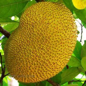 仙鹤戏狐妖 相关产品