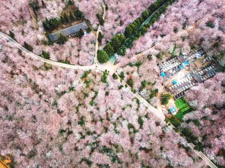 便利贴 相关产品