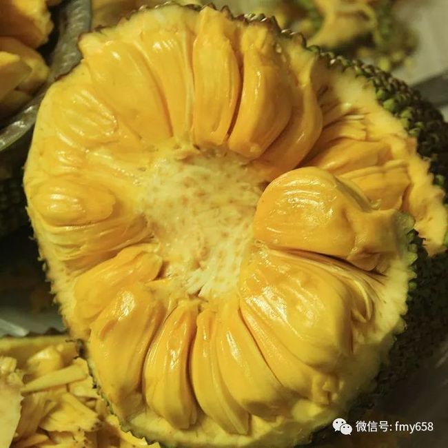 僵尸战士 相关产品