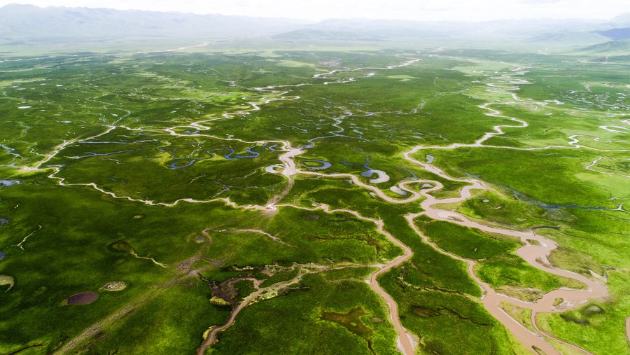 佩小姐的奇幻城堡 产品主图