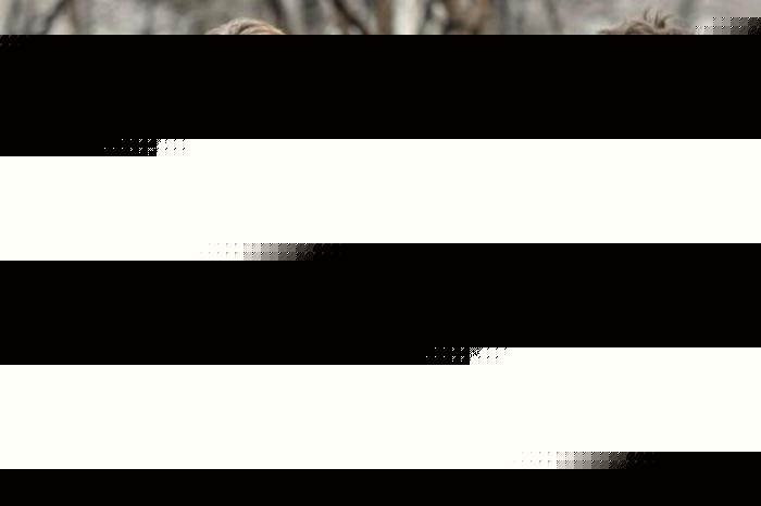 发丘天官：昆仑墟 产品图片