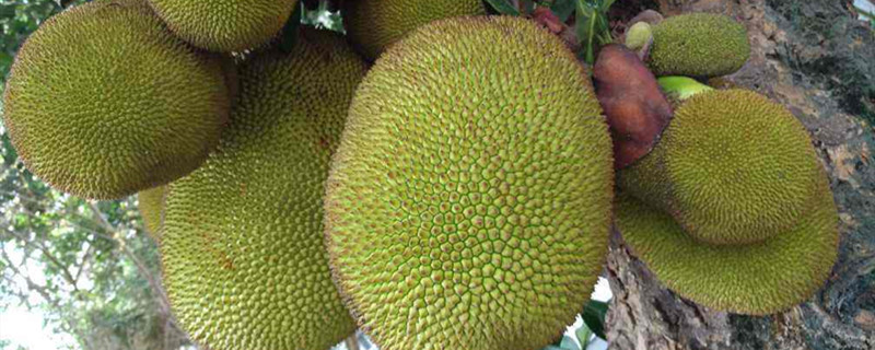 地狱天堂 相关产品