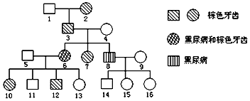 夜·守 推荐产品