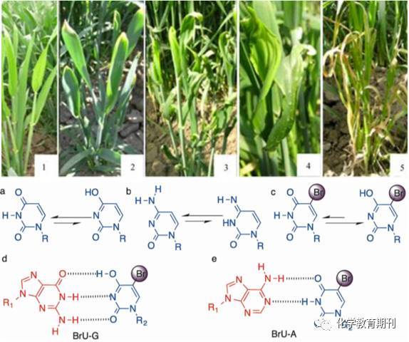 保你平安 相关产品
