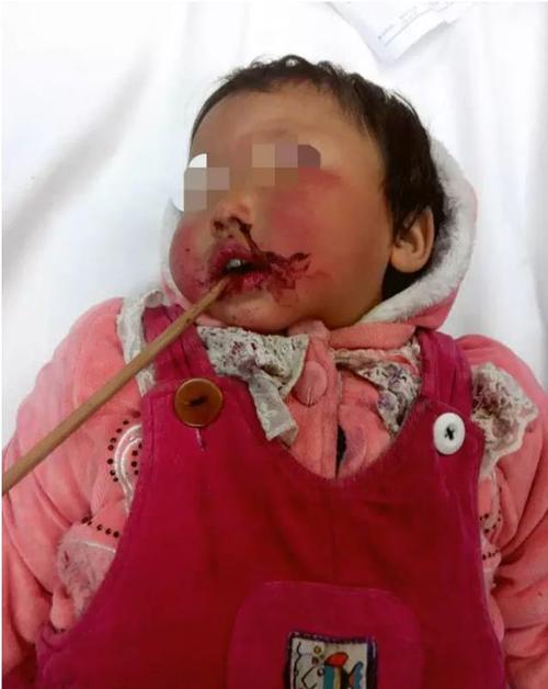 侠僧探案传奇之洛阳花会 相关产品