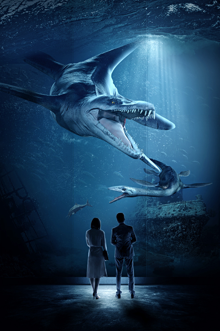 优雅的世界（上部） 产品图片