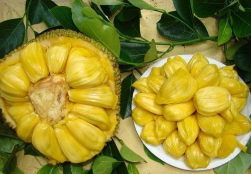 复仇之火 推荐产品