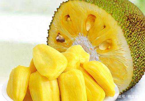 仙乐飘飘 产品主图