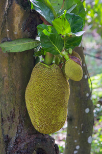 低压槽：欲望之城 相关产品