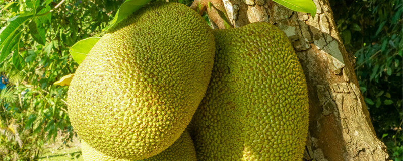 你爱我吗？ 相关产品