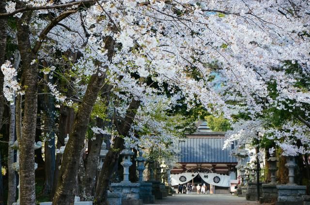 傻瓜天堂 相关产品