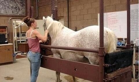 你知不知道我爱你 产品图片