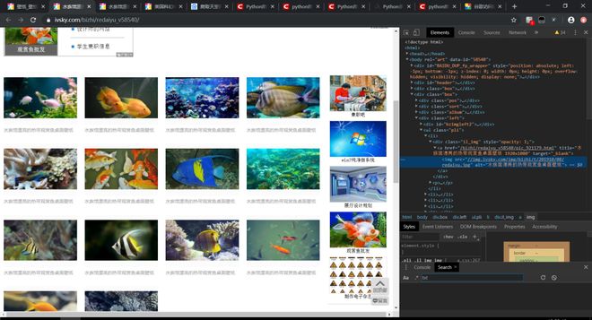 墨西哥人 产品图片
