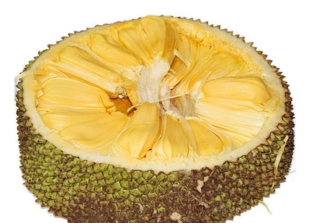 囧宝联盟之明朝古物 相关产品