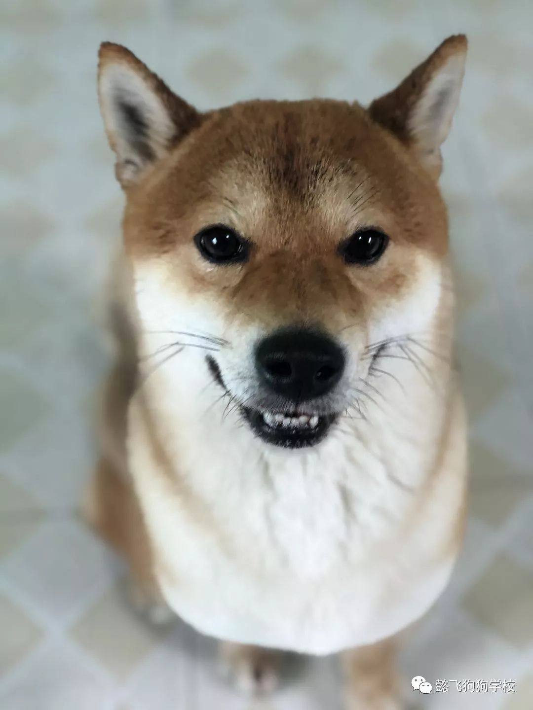 保持沉默 推荐产品