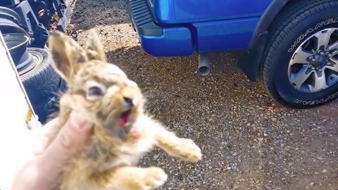 双重智脑 相关产品