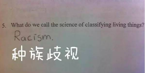 偷来的女儿 产品图片