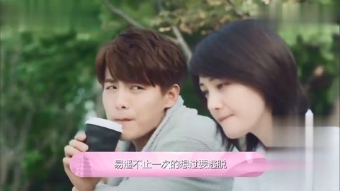 四个月亮 相关产品