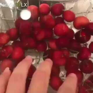 俏如彩蝶飞飞飞 相关产品