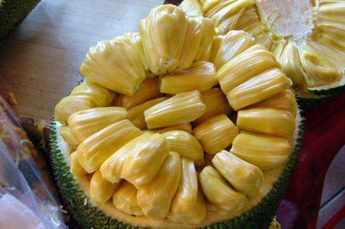 仙履奇缘3： 时间魔法 相关产品