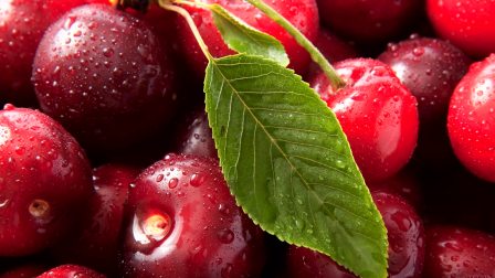 健忘村 相关产品