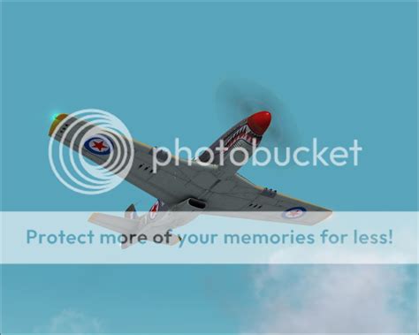 冰川鲨鱼 相关产品