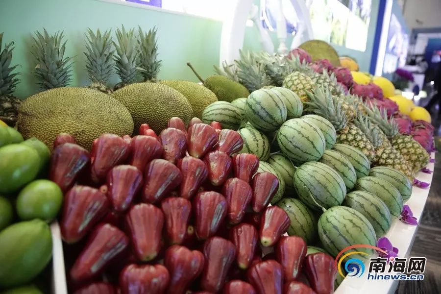 保你平安 相关产品