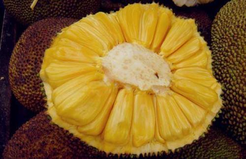 啤酒花 相关产品