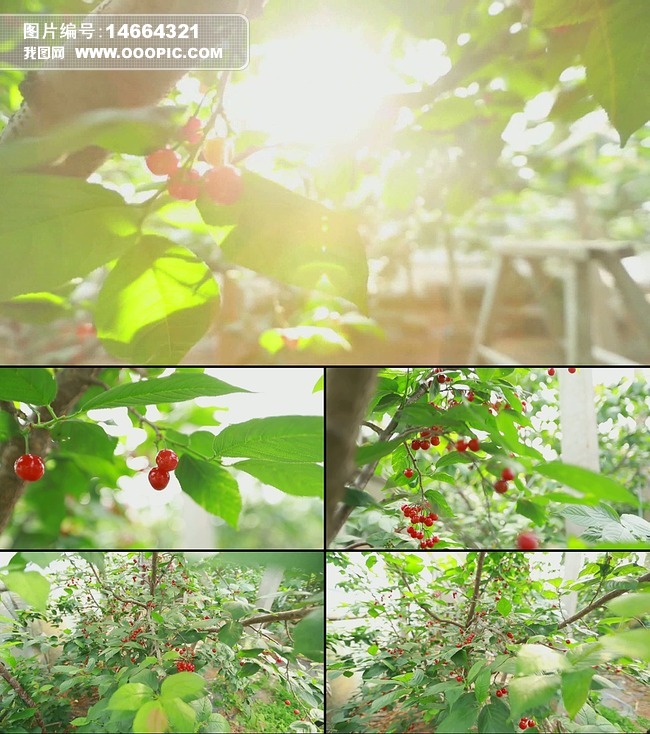 催眠人格 相关产品